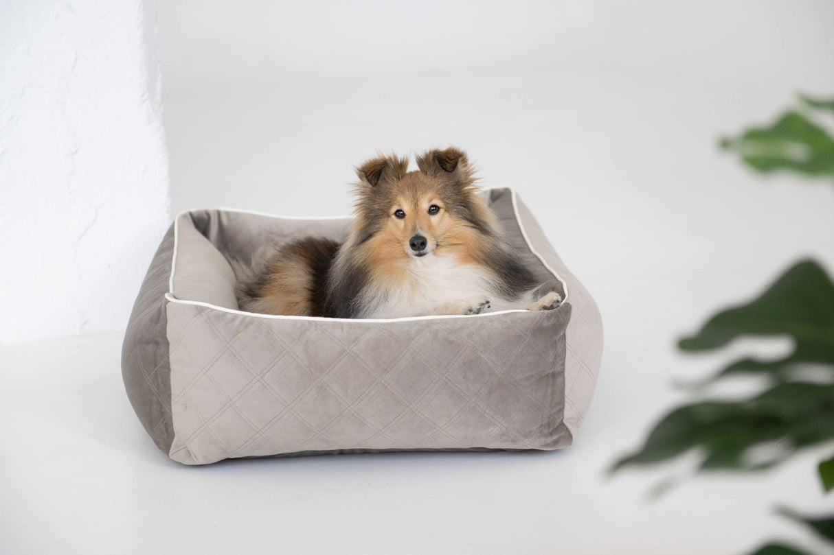 Laboni CLASSIC Hundebett OXFORD edle Steppstoff aus anschmiegsamem Samt