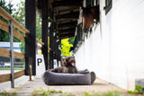 Laboni CLASSIC Hundebett OXFORD edle Steppstoff aus anschmiegsamem Samt