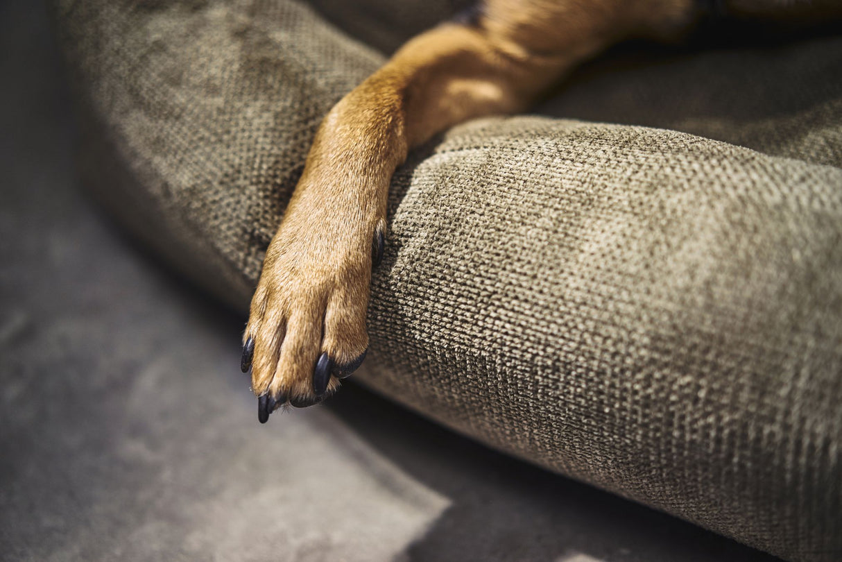 Laboni CLASSIC Hundebett TUDOR aus sehr pflegeleichtem Möbelstoff