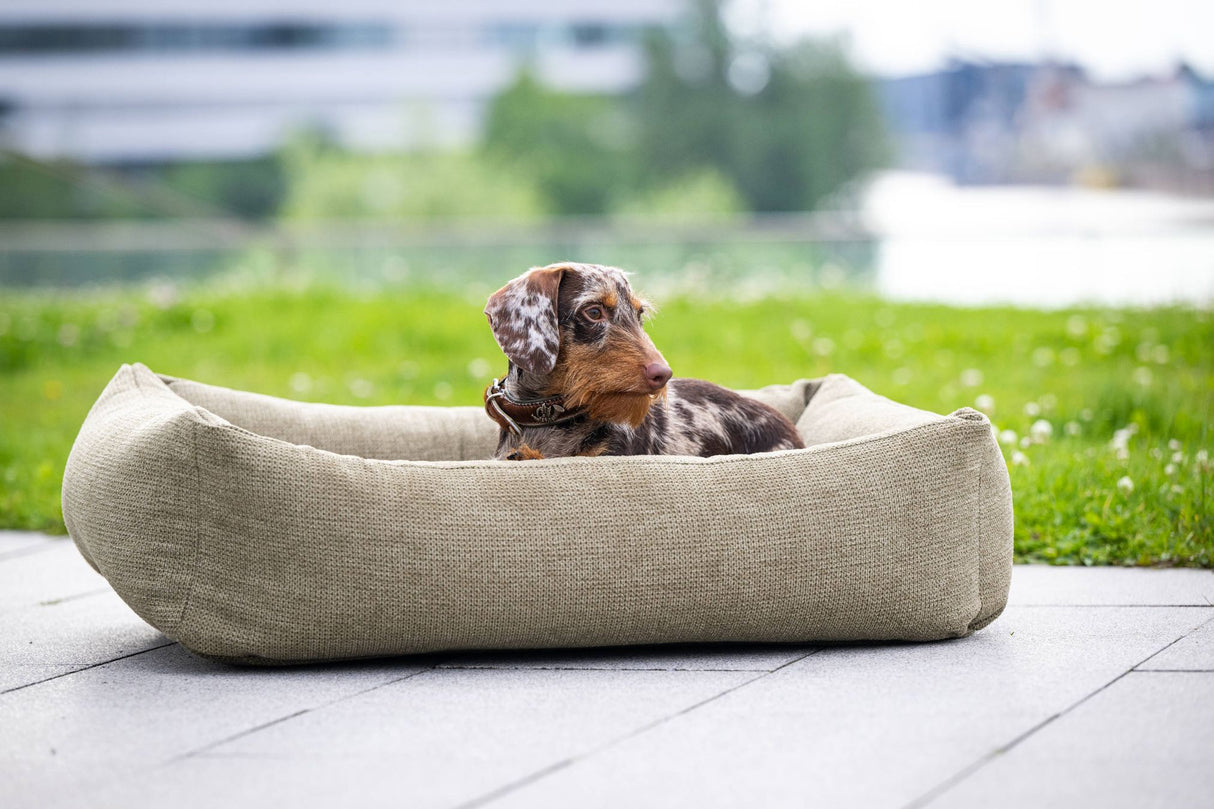 Laboni CLASSIC Hundebett TUDOR aus sehr pflegeleichtem Möbelstoff