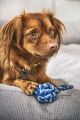 Laboni CLASSIC Hundebett TUDOR aus sehr pflegeleichtem Möbelstoff
