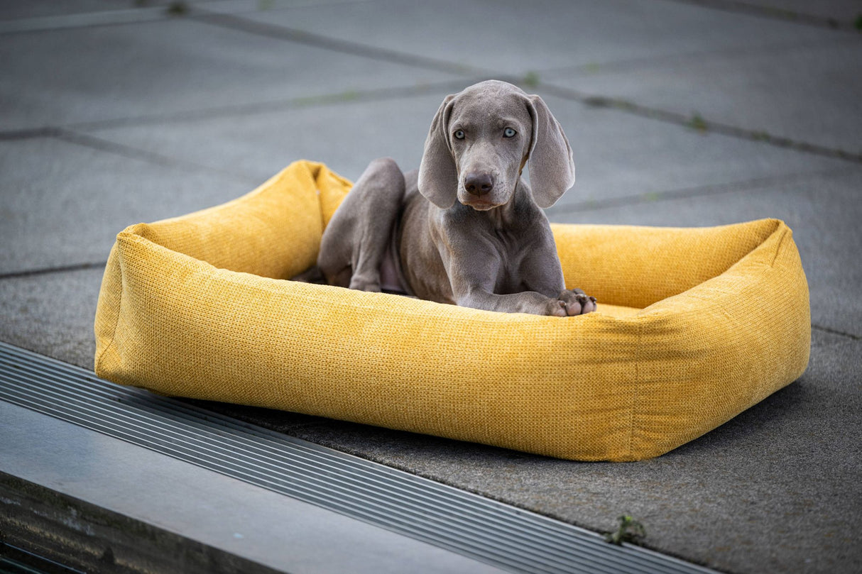 Laboni CLASSIC Hundebett TUDOR aus sehr pflegeleichtem Möbelstoff