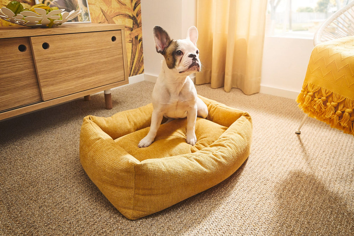 Laboni CLASSIC Hundebett TUDOR aus sehr pflegeleichtem Möbelstoff