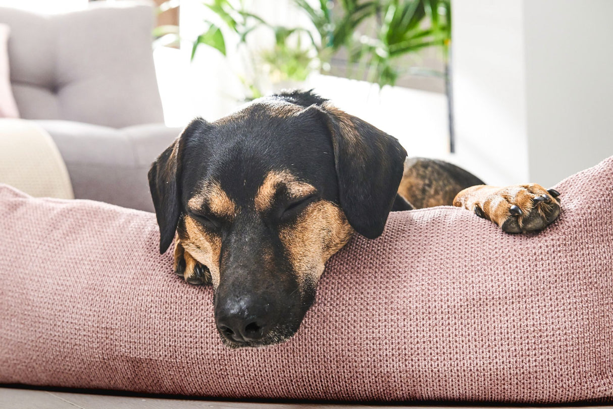 Laboni CLASSIC Hundebett TUDOR aus sehr pflegeleichtem Möbelstoff
