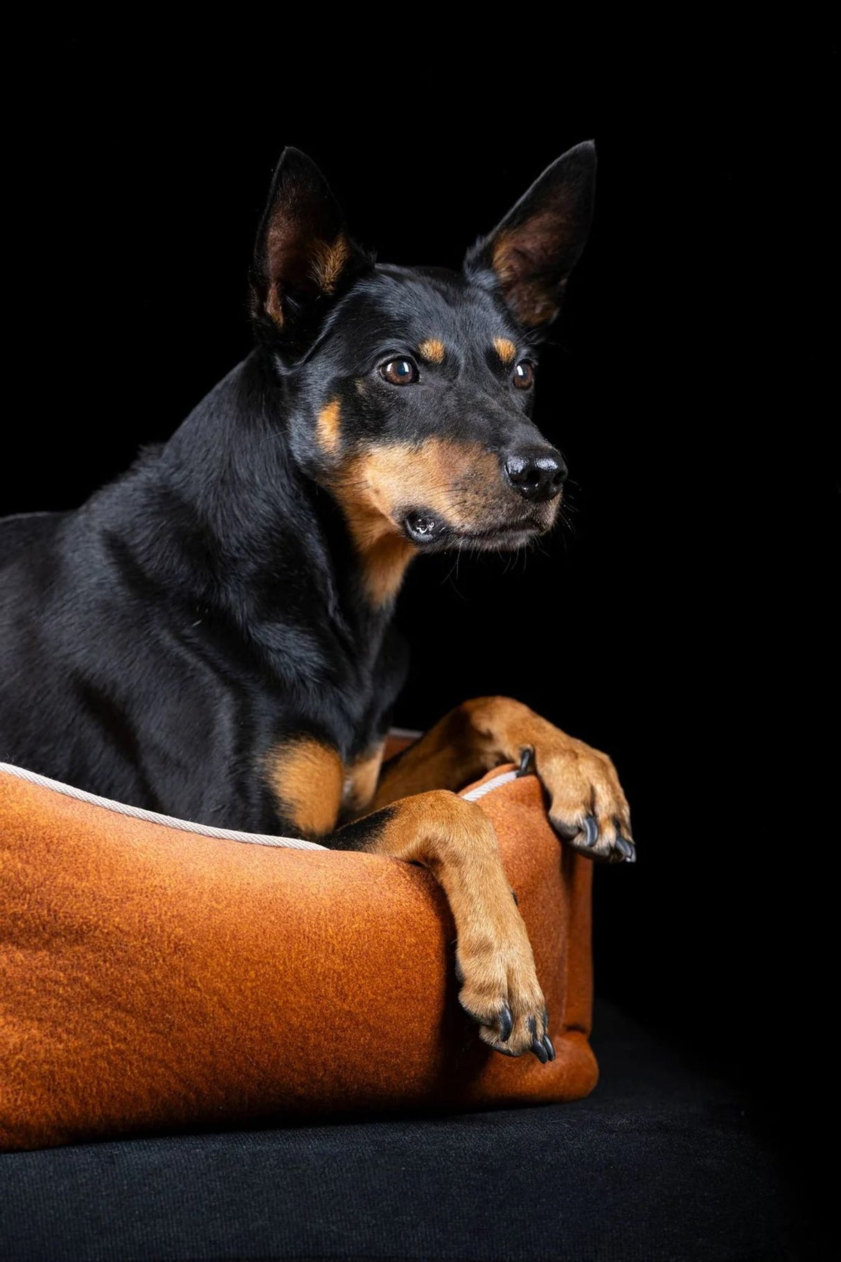Laboni ORTHO Hundebett BUFFALO in stylischem Vintage-Leder-Look