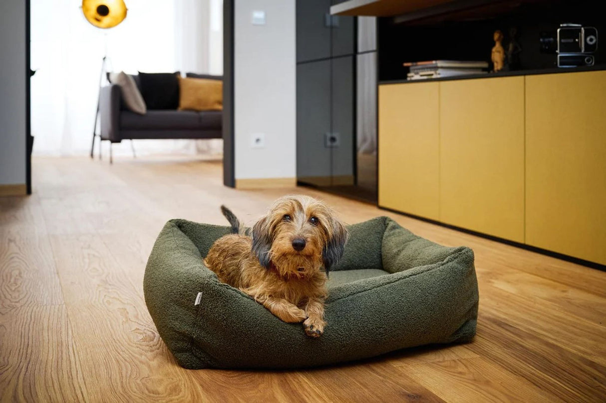 Laboni ORTHO Hundebett TEDDY in stylischem "Teddyfell" Bouclé-Look