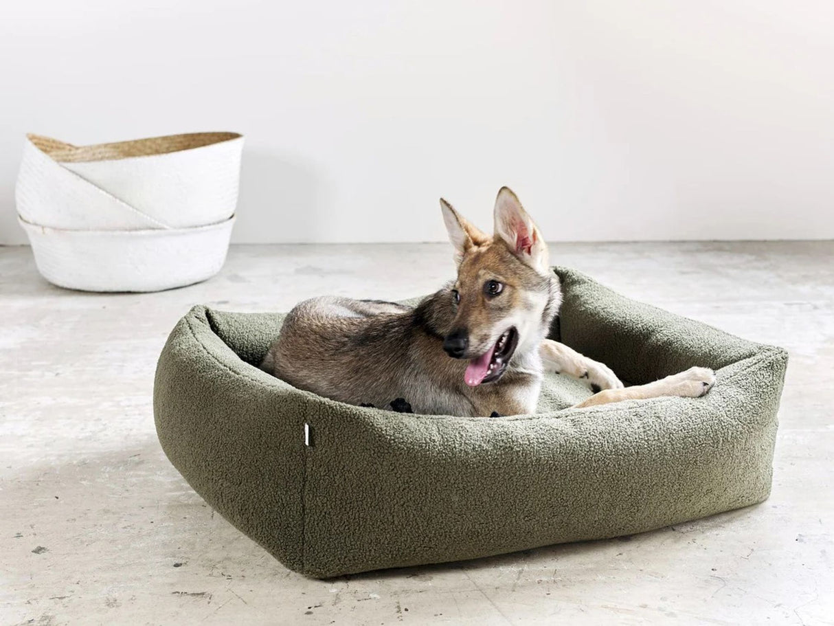 Laboni ORTHO Hundebett TEDDY in stylischem "Teddyfell" Bouclé-Look
