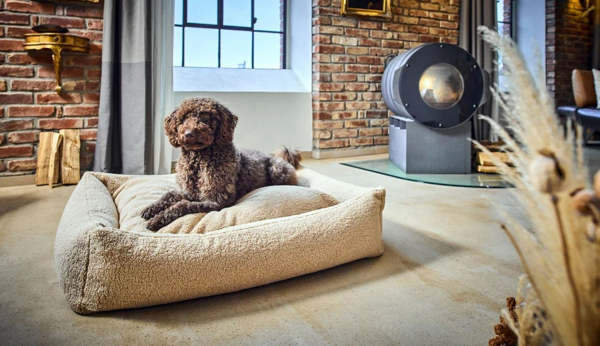 Laboni ORTHO Hundebett TEDDY in stylischem "Teddyfell" Bouclé-Look