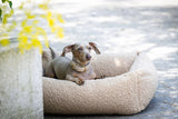 Laboni ORTHO Hundebett TEDDY in stylischem "Teddyfell" Bouclé-Look