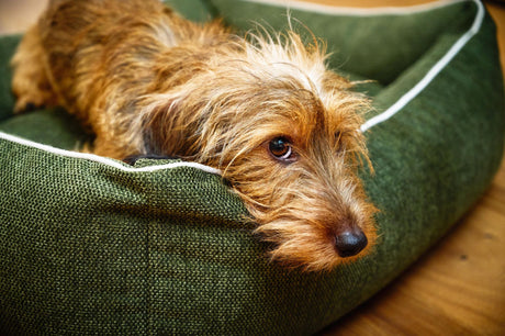 Laboni CLASSIC Hundebett ECO mit waschbaren Bezug aus recycelten Kleidern