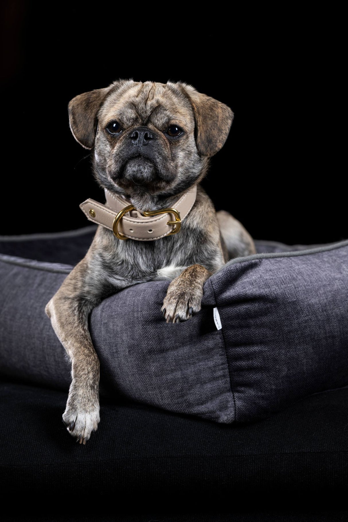 Laboni CLASSIC Hundebett GLAM robust & pflegeleicht dank Lotus-Effekt