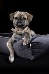 Laboni CLASSIC Hundebett GLAM robust & pflegeleicht dank Lotus-Effekt