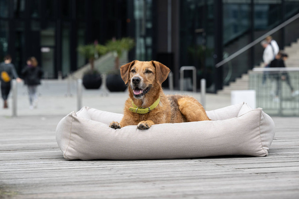 Laboni ORTHO Hundebett SMOOTH