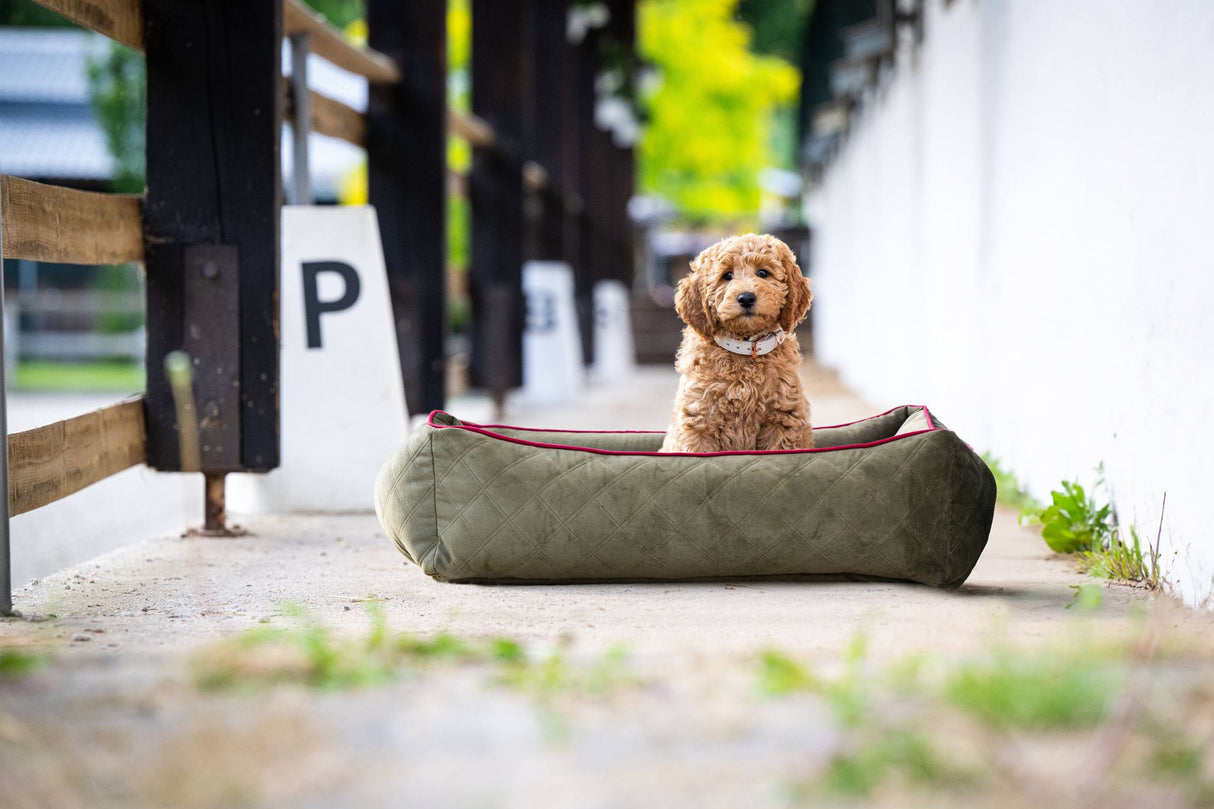 Laboni ORTHO Hundebett OXFORD edle Steppstoff aus anschmiegsamem Samt