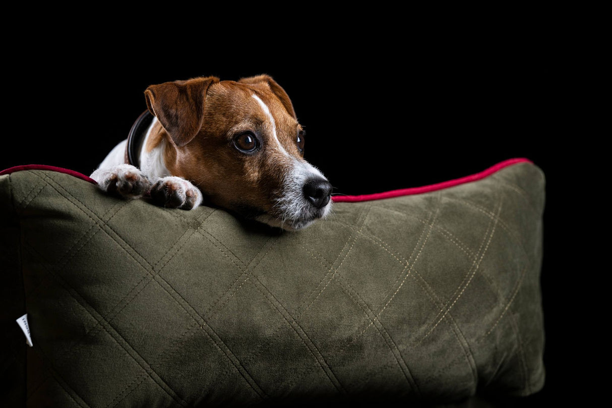 Laboni ORTHO Hundebett OXFORD edle Steppstoff aus anschmiegsamem Samt