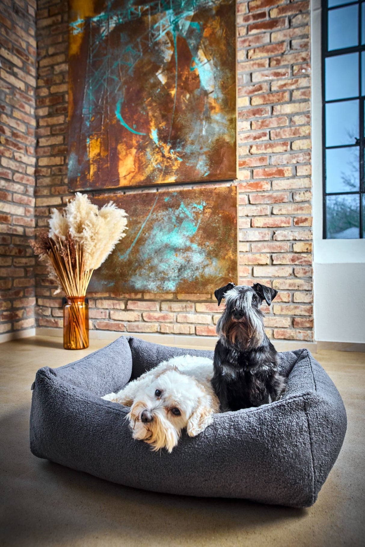 Laboni ORTHO Hundebett TEDDY in stylischem "Teddyfell" Bouclé-Look