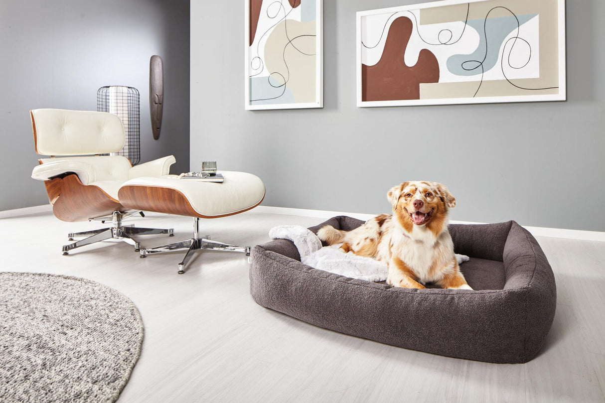 Laboni ORTHO Hundebett TEDDY in stylischem "Teddyfell" Bouclé-Look