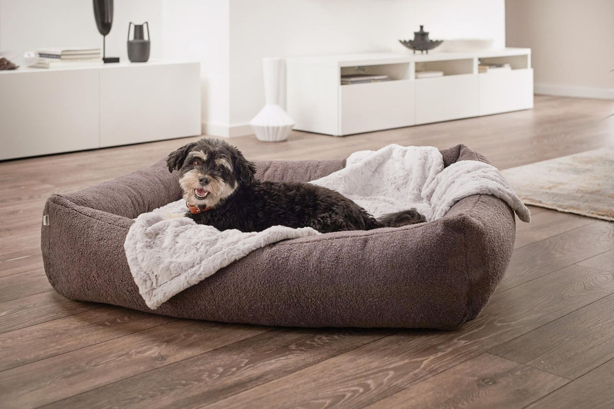 Laboni ORTHO Hundebett TEDDY in stylischem "Teddyfell" Bouclé-Look