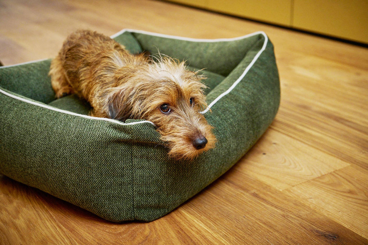 Laboni ORTHO Hundebett ECO mit waschbaren Bezug aus recycelten Kleidern