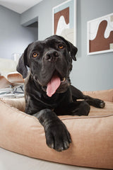 Laboni ORTHO Hundebett GLAM robust & pflegeleicht dank Lotus-Effekt