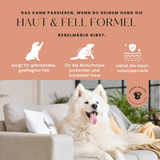 Haut & Fell-Formel Premium-Leckerlis für Haut und Fell