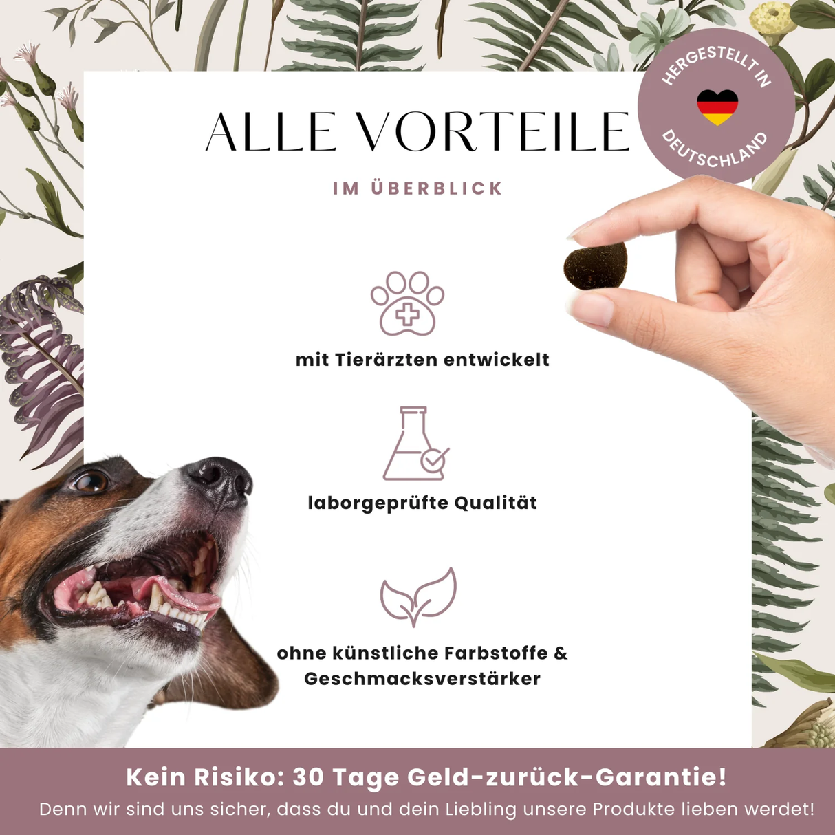 Magen-Darm-Formel Premium- Leckerlis für die Verdauung