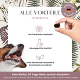 Magen-Darm-Formel Premium- Leckerlis für die Verdauung