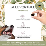 Gelenk-Plus-Formel Premium-Leckerlis für die Gelenke & Knochen