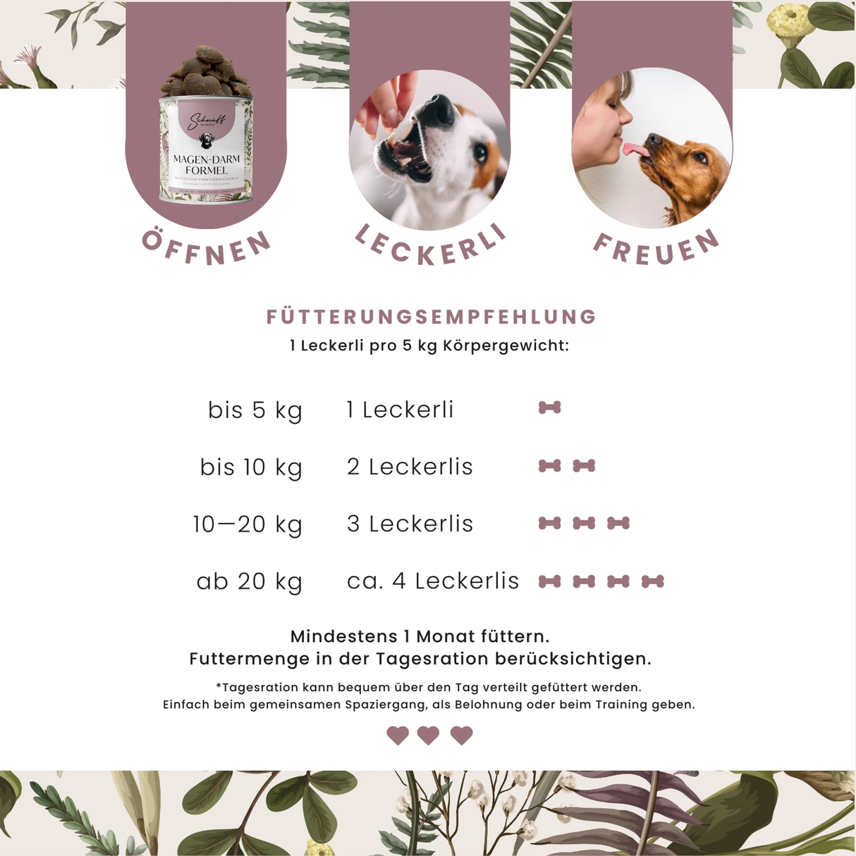 Magen-Darm-Formel Premium- Leckerlis für die Verdauung