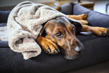 Laboni Hundedecke COZY - Edle Webpelz-Hundedecke