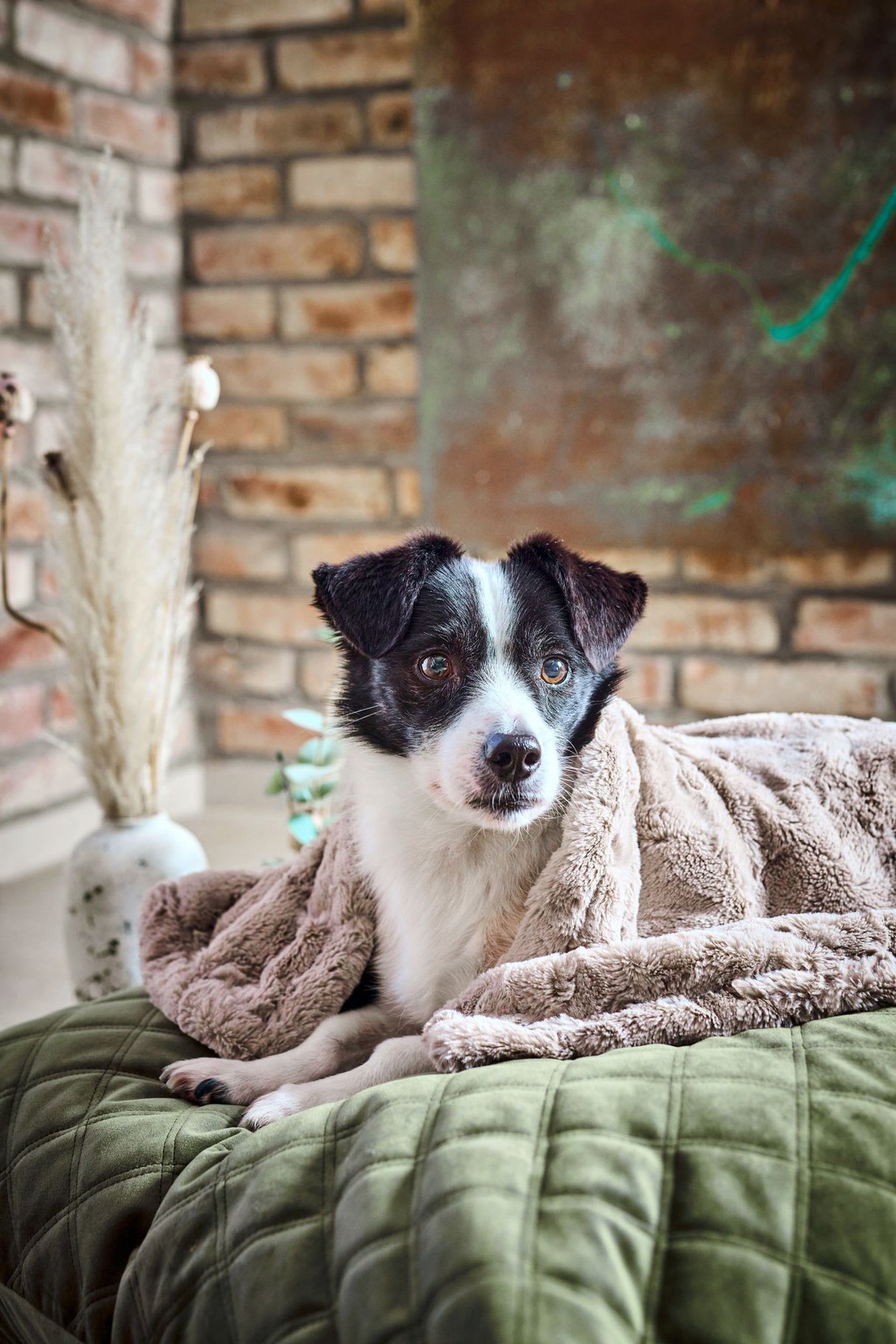 Laboni Hundedecke COZY - Edle Webpelz-Hundedecke