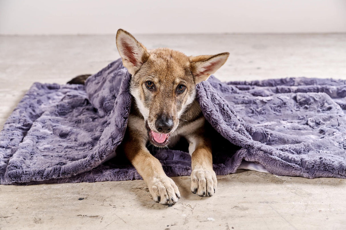Laboni Hundedecke COZY - Edle Webpelz-Hundedecke