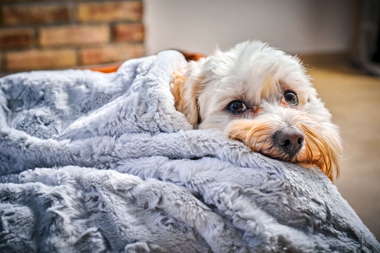 Laboni Hundedecke COZY - Edle Webpelz-Hundedecke