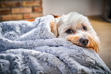 Laboni Hundedecke COZY - Edle Webpelz-Hundedecke
