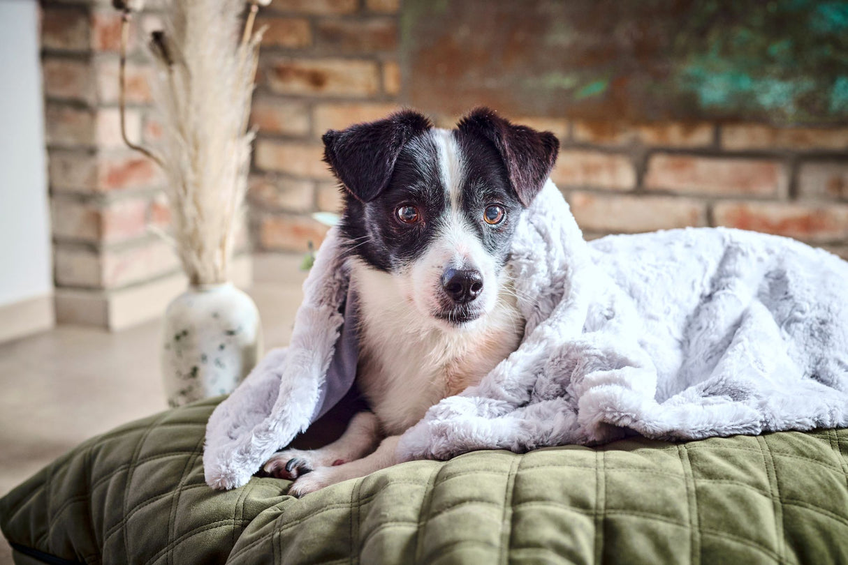 Laboni Hundedecke COZY - Edle Webpelz-Hundedecke