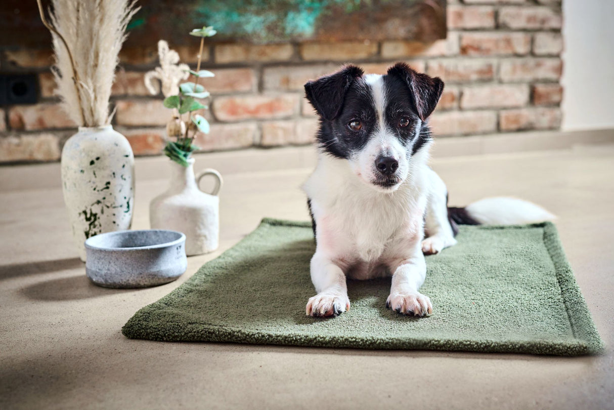 Laboni Hundedecke TEDDY Multifunktions-Decke "Teddyfell" Bouclé-Look