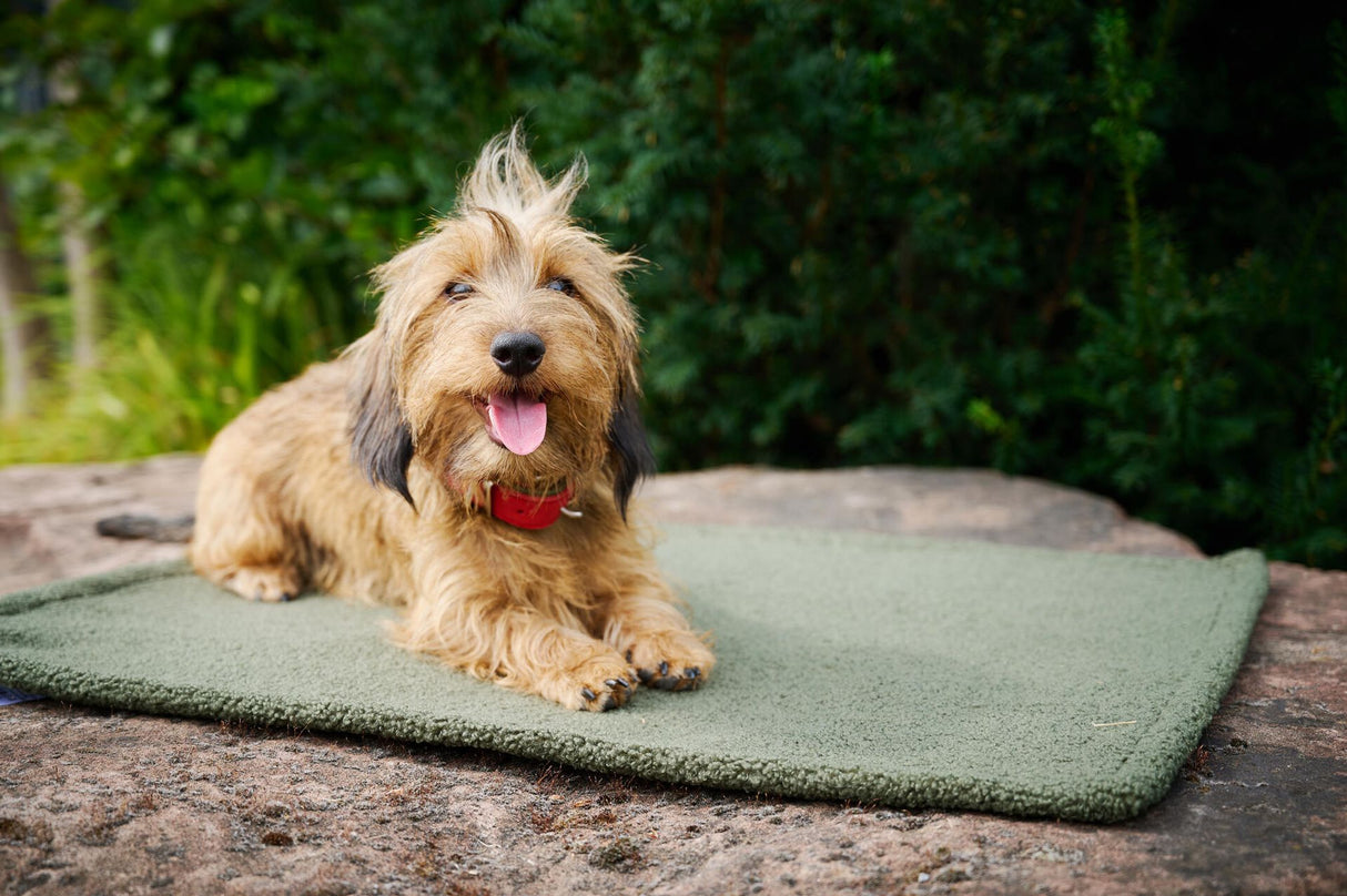 Laboni Hundedecke TEDDY Multifunktions-Decke "Teddyfell" Bouclé-Look