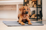 Laboni Hundedecke TEDDY Multifunktions-Decke "Teddyfell" Bouclé-Look