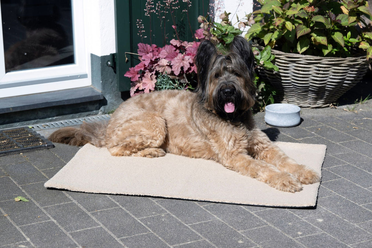 Laboni Hundedecke TEDDY Multifunktions-Decke "Teddyfell" Bouclé-Look