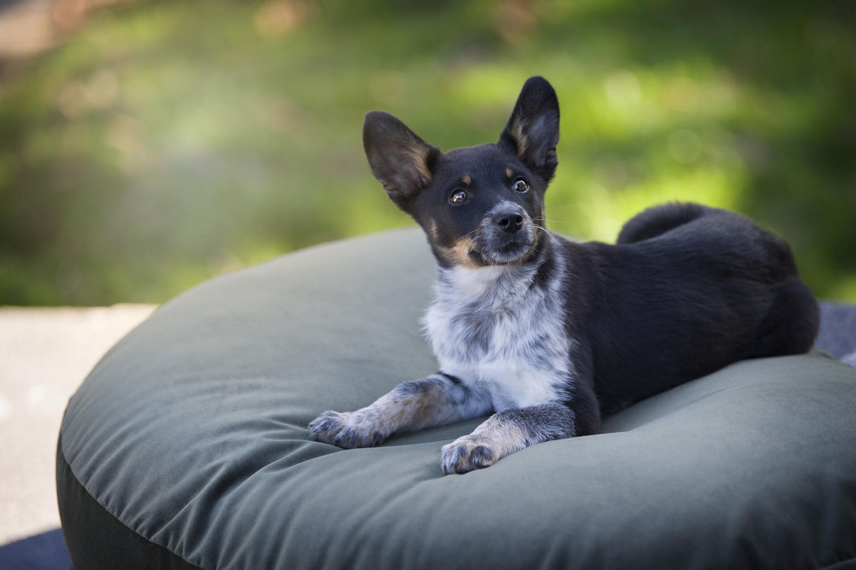 Laboni LUNA LOUNGE SET Hundebett OXFORD stilvoller Schlaf- & Ruheplatz