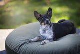 Laboni LUNA LOUNGE SET Hundebett OXFORD stilvoller Schlaf- & Ruheplatz