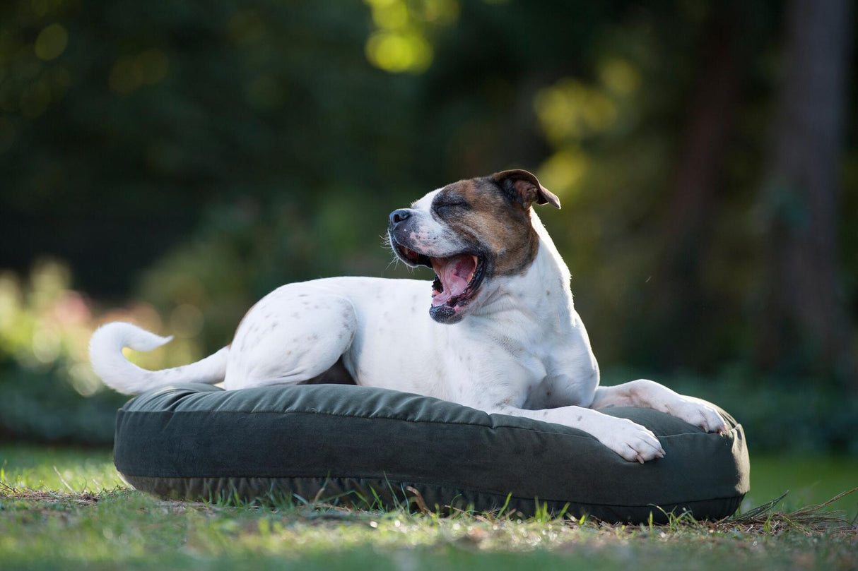Laboni LUNA LOUNGE SET Hundebett OXFORD stilvoller Schlaf- & Ruheplatz