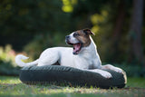 Laboni LUNA LOUNGE SET Hundebett OXFORD stilvoller Schlaf- & Ruheplatz