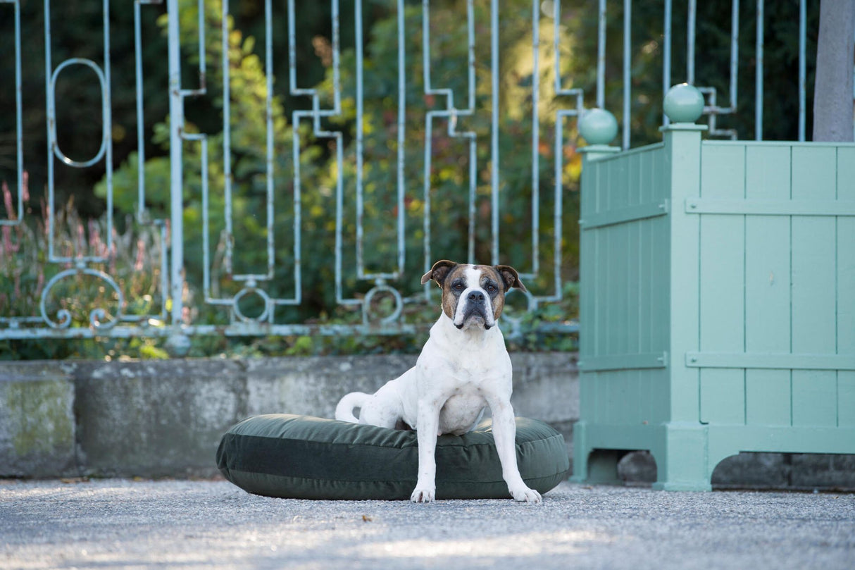 Laboni LUNA LOUNGE SET Hundebett OXFORD stilvoller Schlaf- & Ruheplatz
