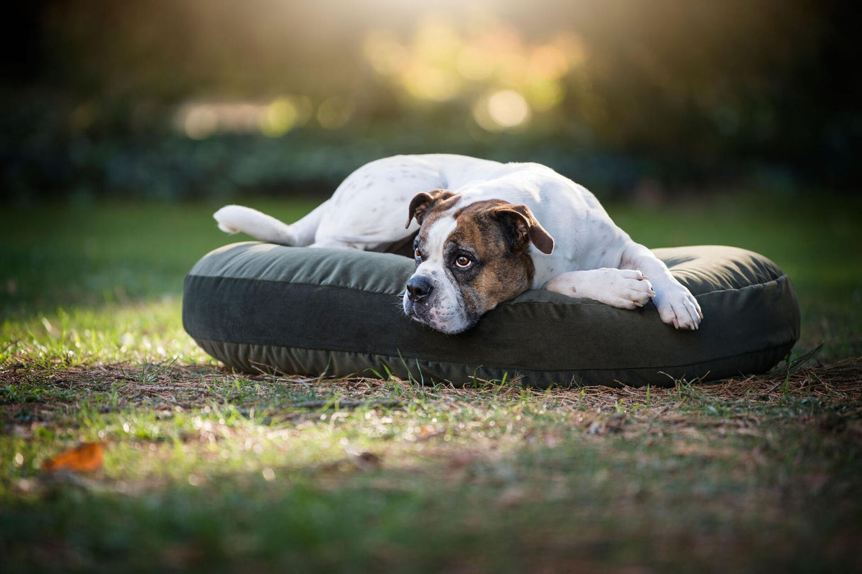 Laboni LUNA LOUNGE SET Hundebett OXFORD stilvoller Schlaf- & Ruheplatz