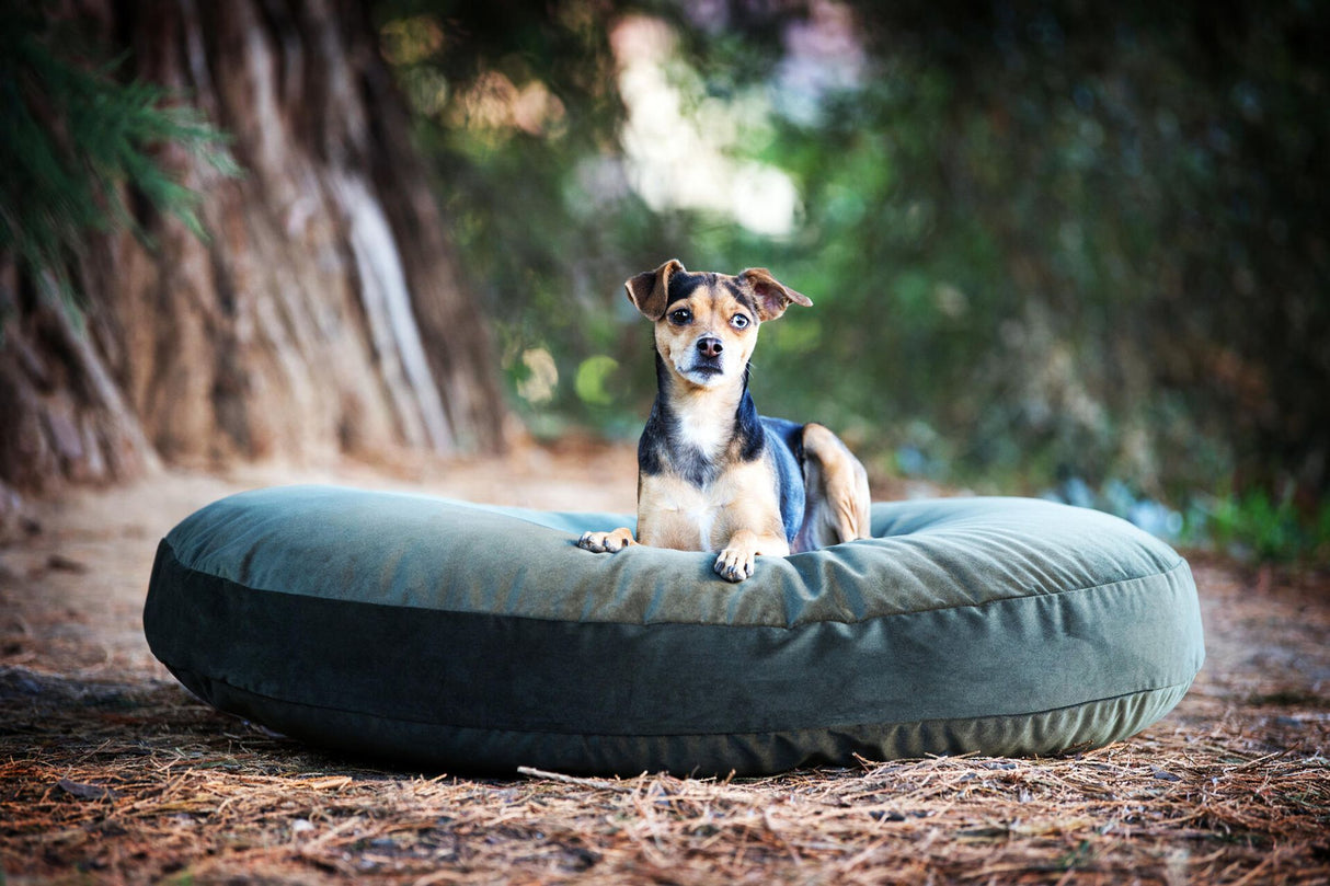 Laboni LUNA LOUNGE SET Hundebett OXFORD stilvoller Schlaf- & Ruheplatz
