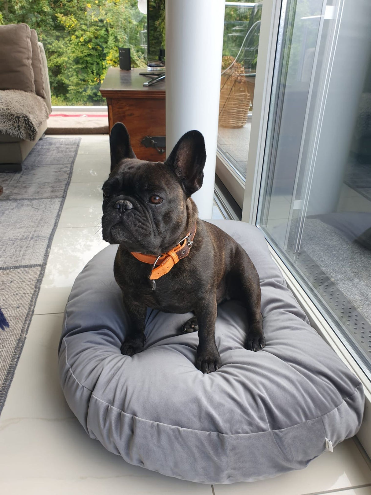 Laboni LUNA LOUNGE SET Hundebett OXFORD stilvoller Schlaf- & Ruheplatz