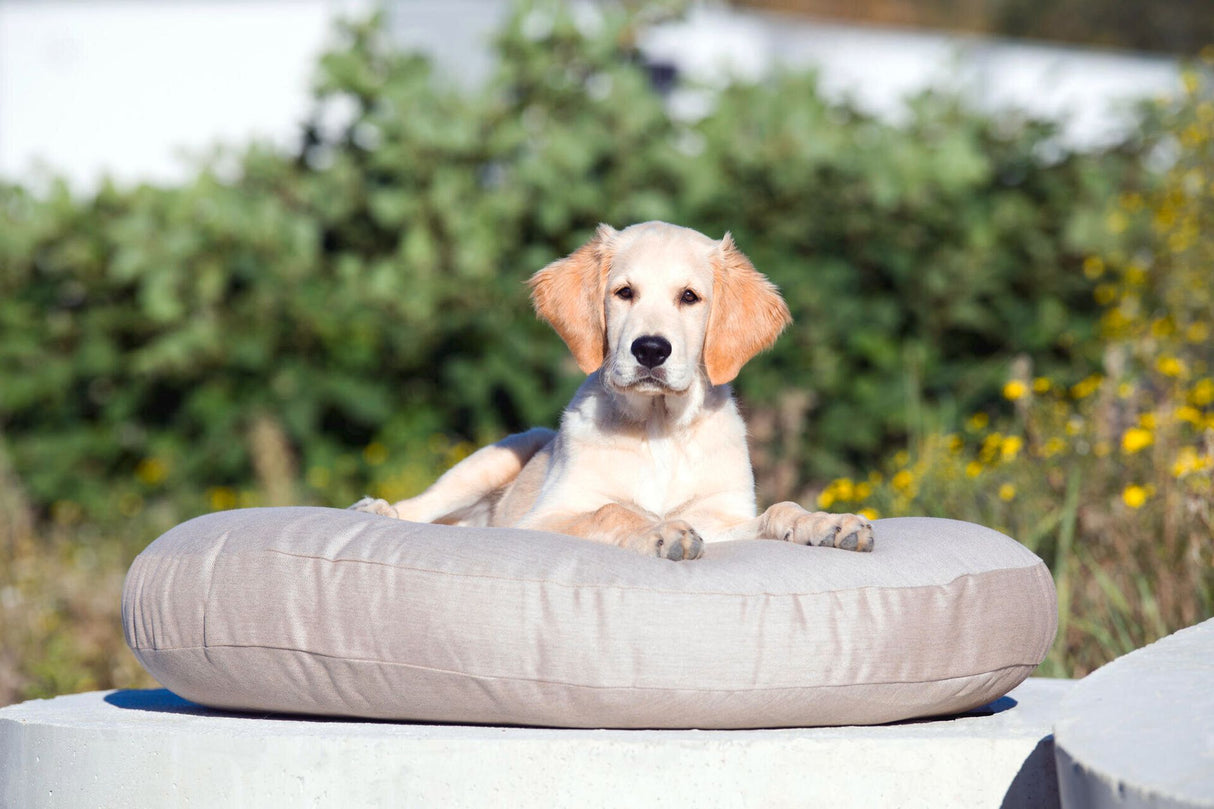 Laboni LUNA LOUNGE SET Hundebett SMOOTH