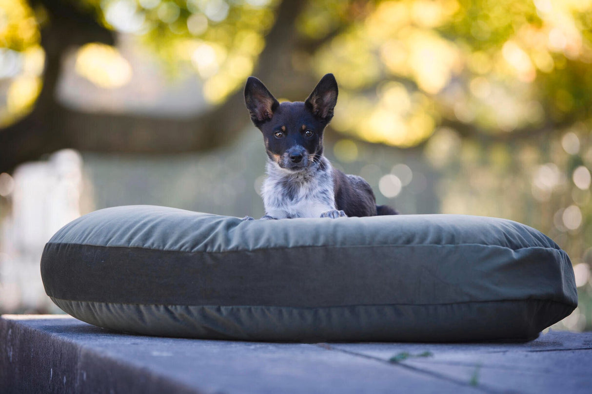Laboni LUNA LOUNGE SET Hundebett OXFORD stilvoller Schlaf- & Ruheplatz