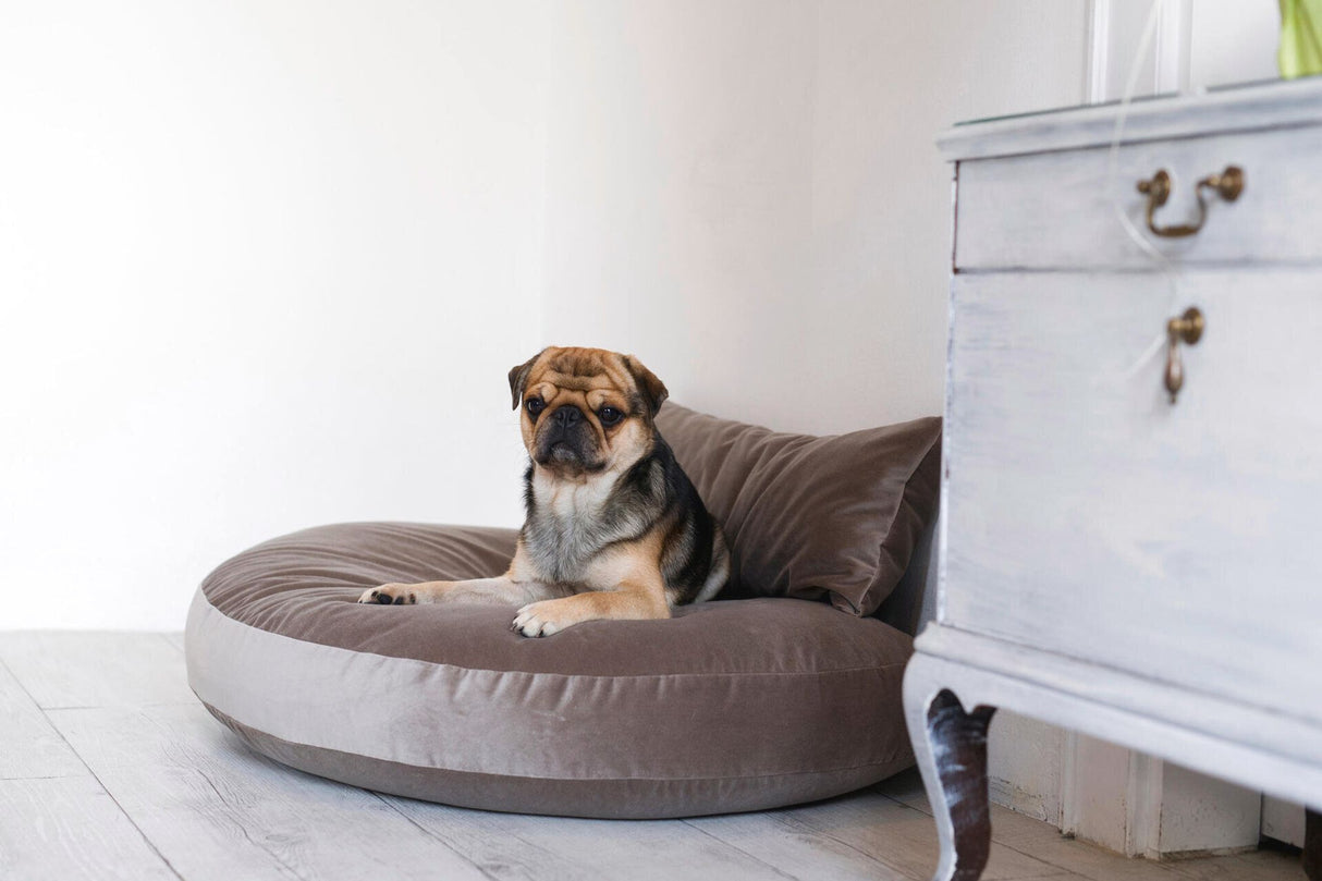 Laboni LUNA LOUNGE SET Hundebett OXFORD stilvoller Schlaf- & Ruheplatz
